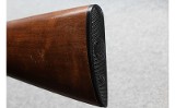 Winchester ~ 25 ~ 12 Gauge - 10 of 10