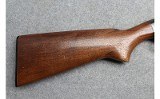 Winchester ~ 25 ~ 12 Gauge - 2 of 10