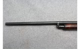 Winchester ~ 25 ~ 12 Gauge - 6 of 10