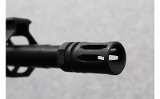 Palmetto State Armory ~ PA-15 ~ 5.56x45mm NATO - 5 of 10
