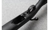 Ruger ~ American Rimfire ~ .17 HMR - 7 of 10
