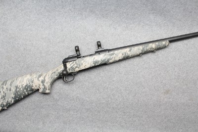 Savage ~ 10 ~ .223 Remington