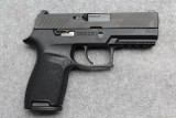 Sig Sauer ~ P320 ~ 9mm Luger
