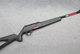 Winchester ~ WILDCAT ~ .22 Long Rifle