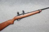 Ruger ~ 10/22 Carbine ~ .22 Long Rifle