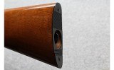 Browning ~ SA-22 ~ .22 Long Rifle - 10 of 10