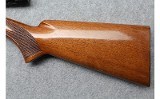 Browning ~ SA-22 ~ .22 Long Rifle - 9 of 10
