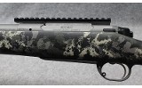 Springfield Armory ~ 2020 Boundary ~ 300 PRC - 8 of 10