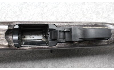 Ruger ~ 10/22 ~ .22 Long Rifle - Image 7 of 10