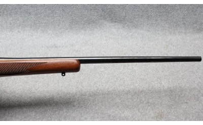 Ruger ~ M77 Mark II ~ .204 Ruger - Image 4 of 10