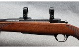Ruger ~ M77 Mark II ~ .204 Ruger - Image 8 of 10