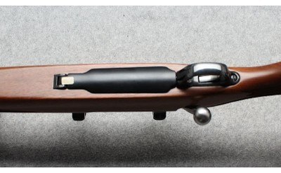 Ruger ~ M77 Mark II ~ .204 Ruger - Image 7 of 10