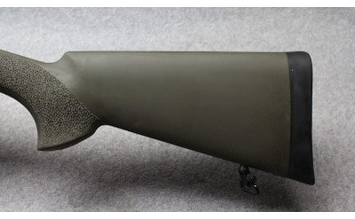 Howa ~ 1500 ~ .243 Winchester - Image 9 of 10