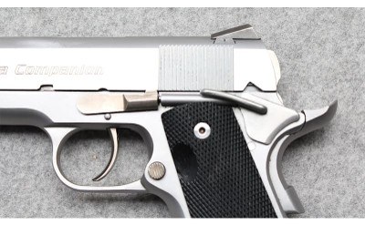Para-Ordnance ~ C7.45 LDA ~ .45 ACP - Image 3 of 6