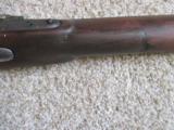 US Model 1816 Musket Converted to percussion - 15 of 15