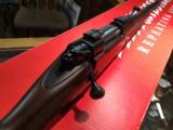 Winchester M-70 Safari Express- 10 of 13