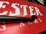 Winchester M-70 Safari Express- 9 of 13