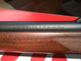 Winchester M-70 Safari Express- 7 of 13