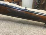 Winchester Model 70 in 300 Win Mag. Cal - 9 of 15