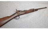 Springfield Armory ~ 1873 Carbine ~ .45-70 Govt. - 1 of 9
