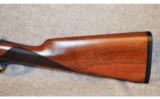 CZ ~ Bobwhite G2 ~ 12 Gauge ~ Side by Side - 9 of 9