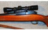 Winchester ~ Model 70 ~ .270 WCF - 8 of 9