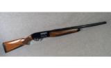 Armsan ~ Pointer ~ 12 Gauge - 1 of 9