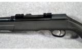 Savage ~ A22 ~ .22 WMR - 8 of 9