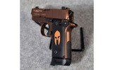 SIG Sauer ~ P238 ~ Spartan ~ .380 Auto. - 3 of 3