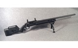 Remington ~ Model 700 ~ Magpul ~ .308 Winchester - 1 of 10