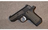 Kimber ~ Micro CSE ~ .380 ACP - 4 of 6