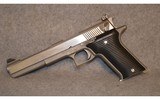 AMT ~ Automag II ~ .22 WMR - 5 of 10