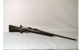 Ruger ~ American ~ .30-06 - 1 of 10