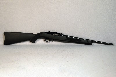 Ruger ~ 10/22 ~ .22 LR