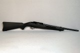 Ruger ~ 10/22 ~ .22 LR