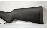 Henry ~ H012CX "Big Boy X" ~ .45 Colt - 2 of 12