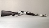 Henry ~ All-Weather ~ .45-70 Govt - Image 1 of 10