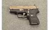 Sig Sauer P224 2-Tone 9mm Para - 2 of 3