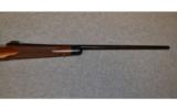 Winchester Model 70 Classic Super Grade Excellent Condition - 4 of 9