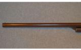 Winchester 1887 Shotgun - 6 of 9