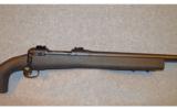Savage ~ Model 10 ~ .308 Winchester - 3 of 9