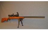 Remington ~ 700 Varmint ~ .243 - 7 of 7