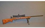 Remington ~ 700 Varmint ~ .243 - 1 of 7