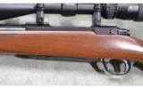 Ruger ~ M77 ~ .25-06 Remington - 9 of 9