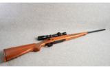 Winchester ~ Model 70 Lightweight ~ .243 Win - 1 of 9