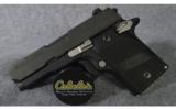 Sig Sauer ~ P938 ~ 9mm - 2 of 2