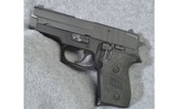 Sig Sauer ~ P245 ~ 45ACP - 2 of 2