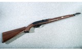 Remington ~ Nylon 66 ~ 22lr - 1 of 10