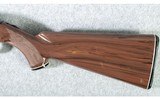 Remington ~ Nylon 66 ~ 22lr - 9 of 10