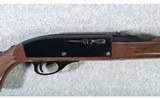 Remington ~ Nylon 66 ~ 22lr - 3 of 10
